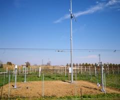 CONSIGLIO PER LA RICERCA IN AGRICOLTURA E L'ANALISI DELL'ECONOMIA AGRARIA (CREA)