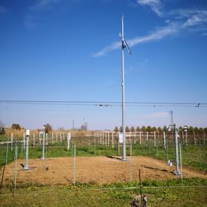 CONSIGLIO PER LA RICERCA IN AGRICOLTURA E L'ANALISI DELL'ECONOMIA AGRARIA (CREA)