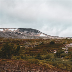 CNR and CAE together against fires in the Arctic