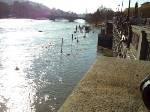 Piemonte, alluvione 2016: cosa è successo e cosa è cambiato rispetto al passato