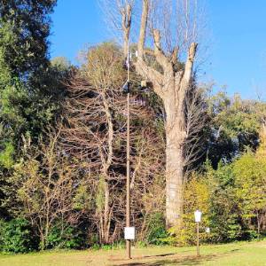 Una stazione meteo CAE alla Reggia di Caserta per la sicurezza di turisti e visitatori